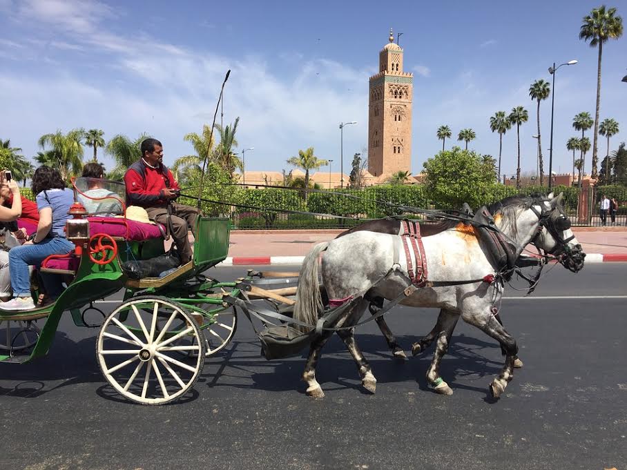 1 Day trip from casablanca to marrakech Sightseeing tour