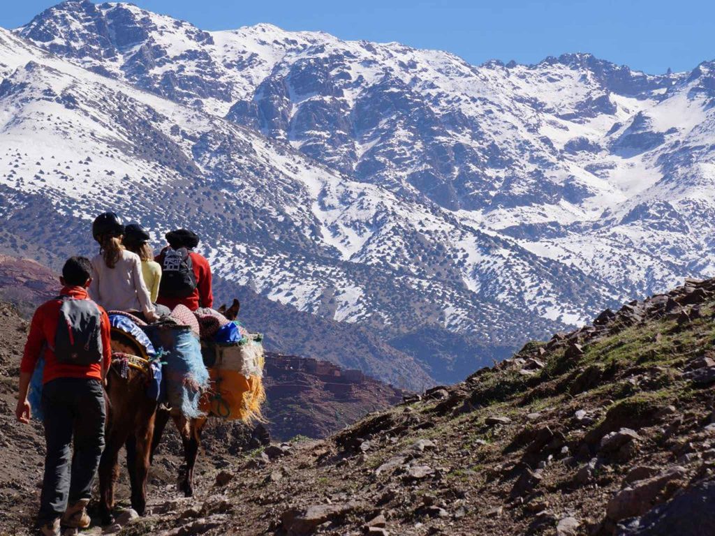 1 Day Trip From Marrakech To Imlil & Atlas Mountains