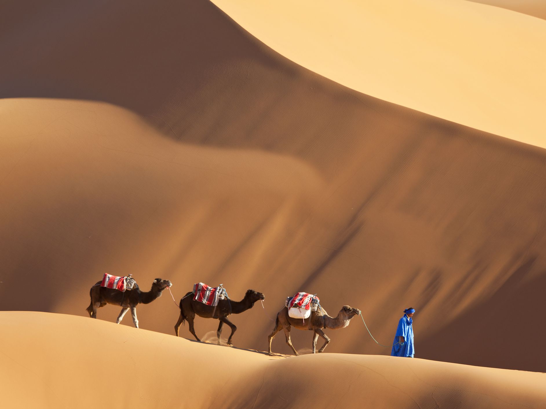 4 days trip From Marrakech To Fes via desert Merzouga