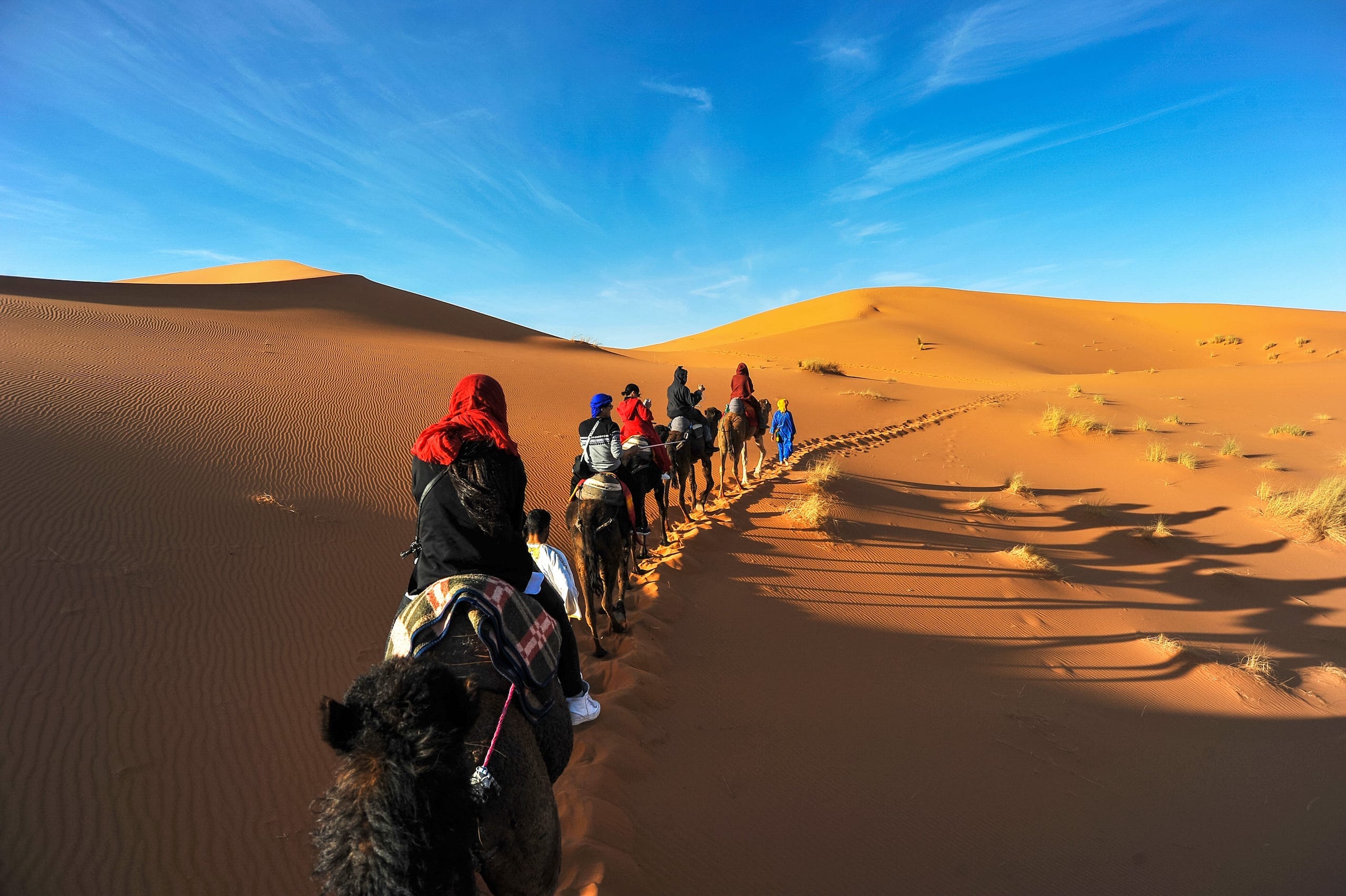 6 days trip From Marrakech To desert, Camel trek & classic tour