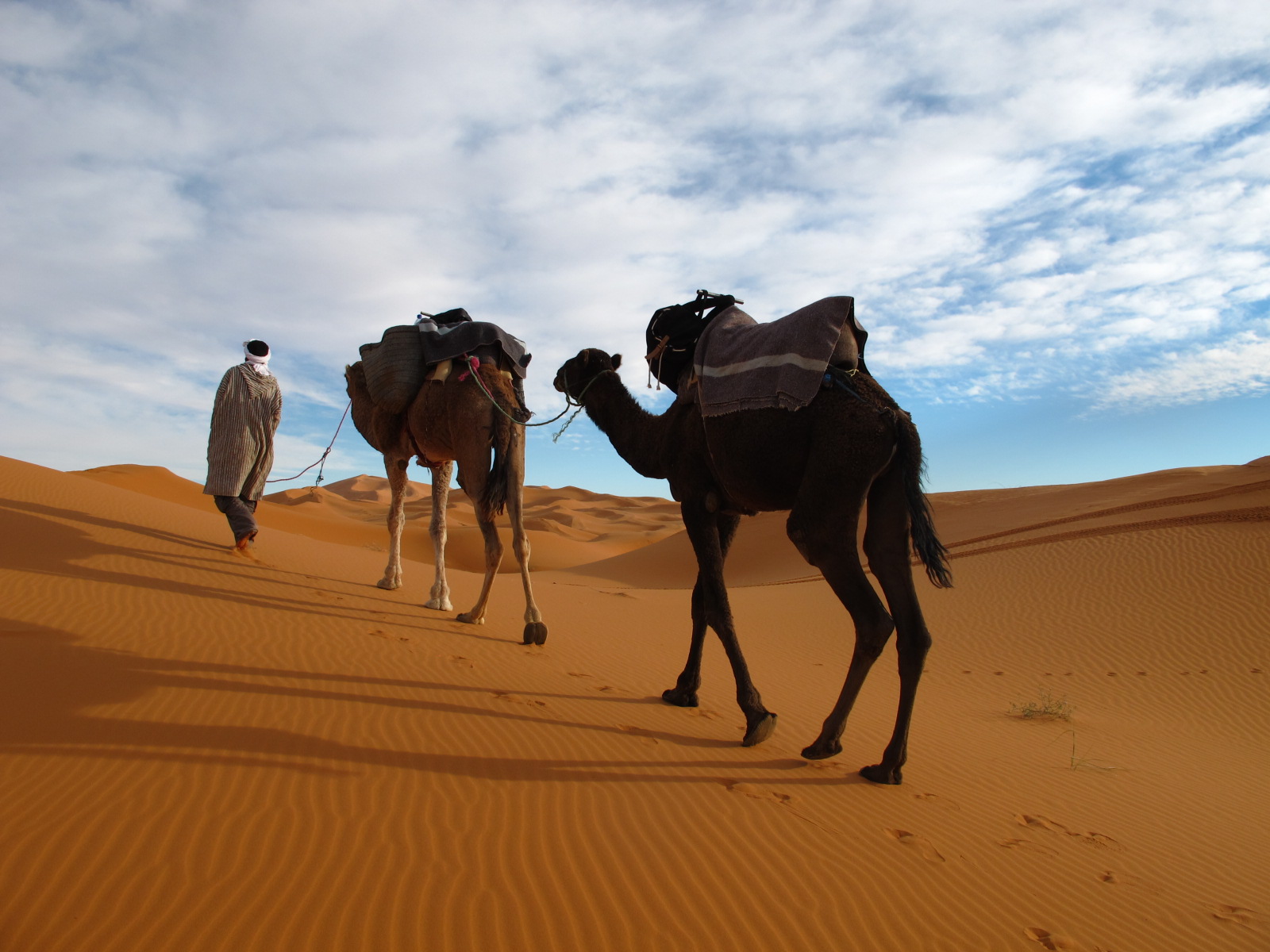 9 Days Tour From Casablanca to Chefchaouen via Fes and Sahara Desert