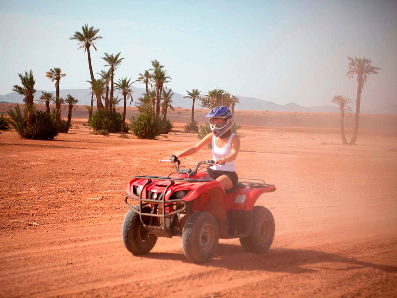 Activity Quad Biking in Marrakech Desert & Palm Grove