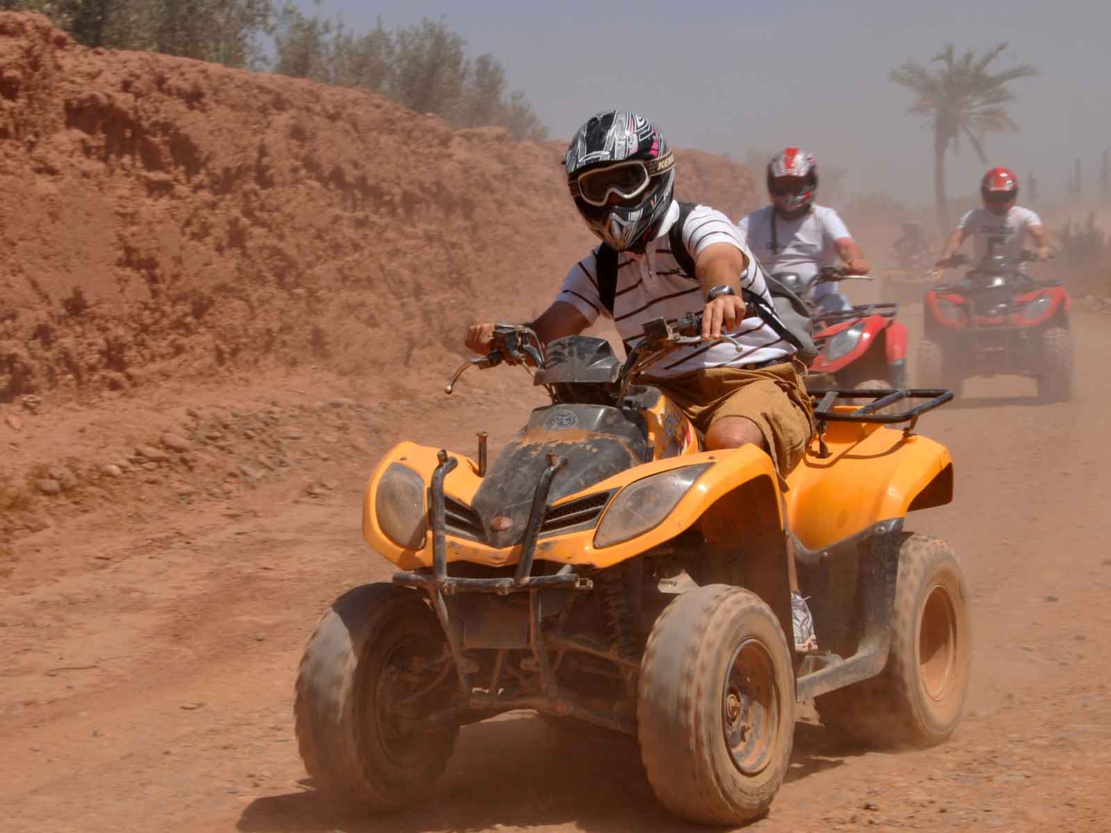 Activity Quad Biking in Marrakech Desert & Palm Grove