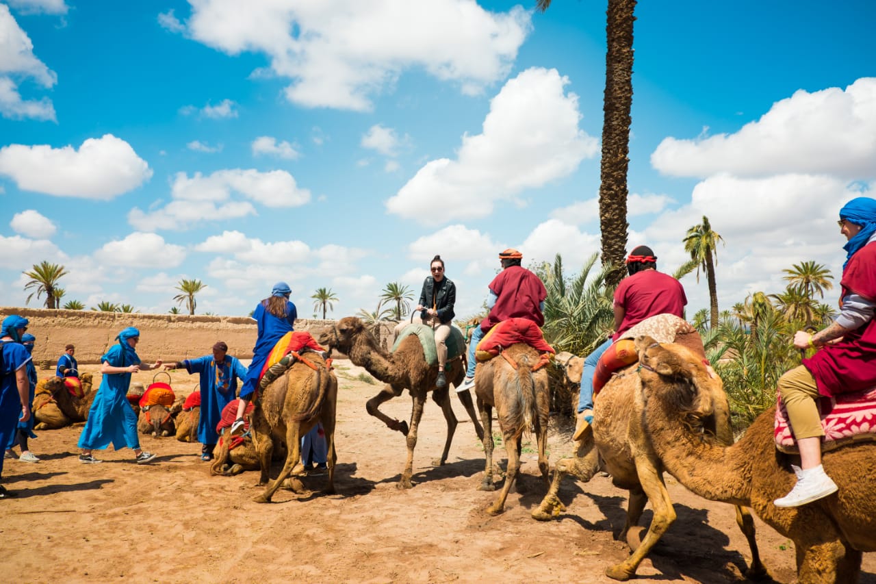 Activity Sunset Camel Ride in the Palm Grove of Marrakech