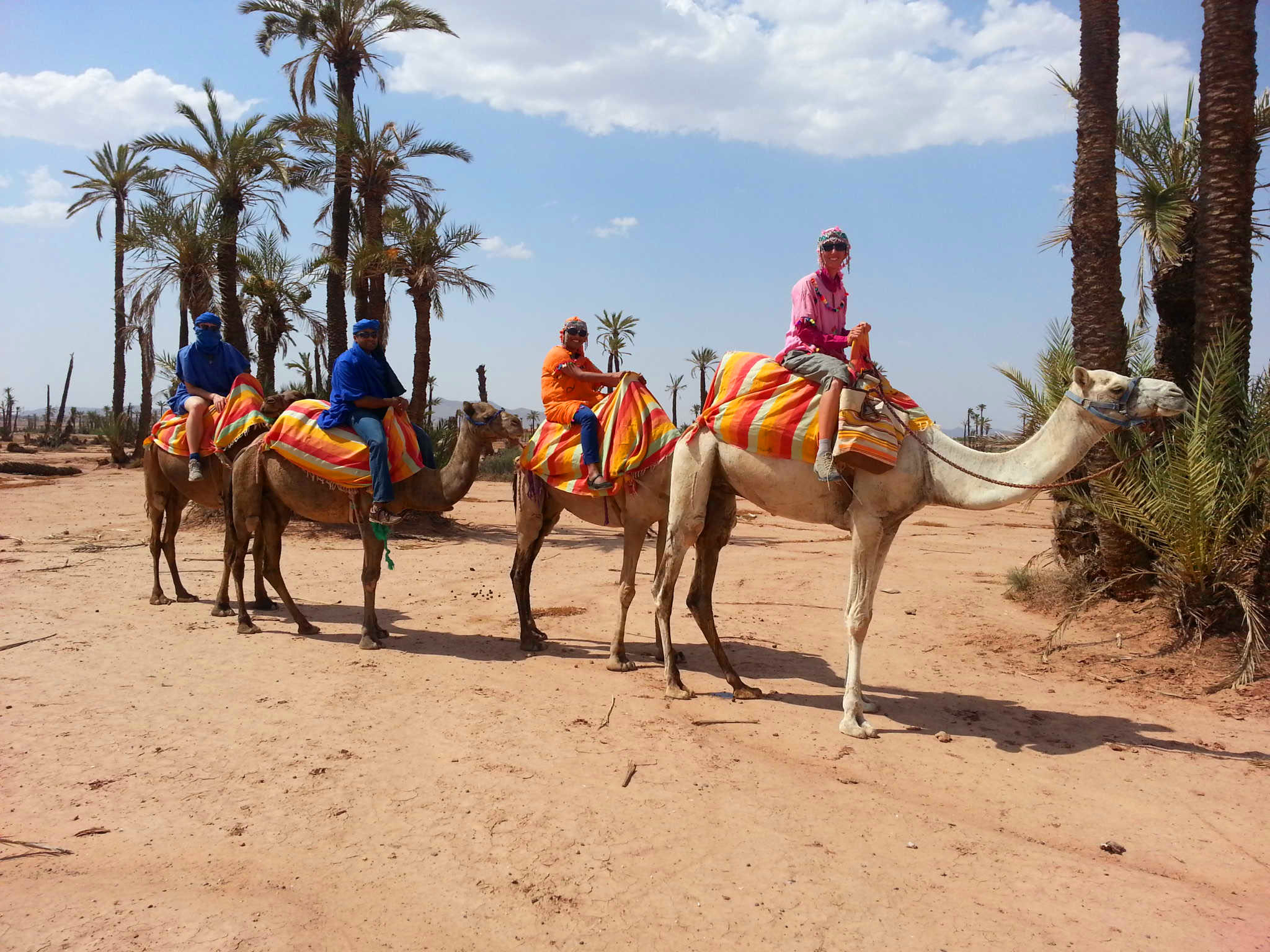 Activity Sunset Camel Ride in the Palm Grove of Marrakech