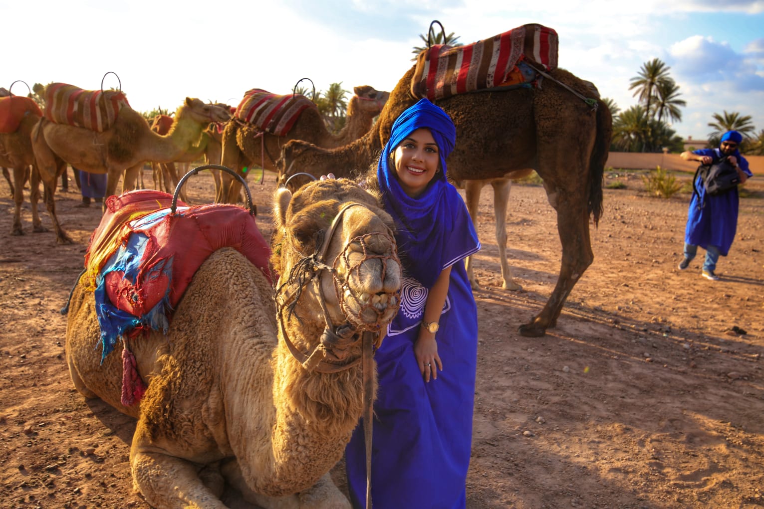 Activity Sunset Camel Ride in the Palm Grove of Marrakech