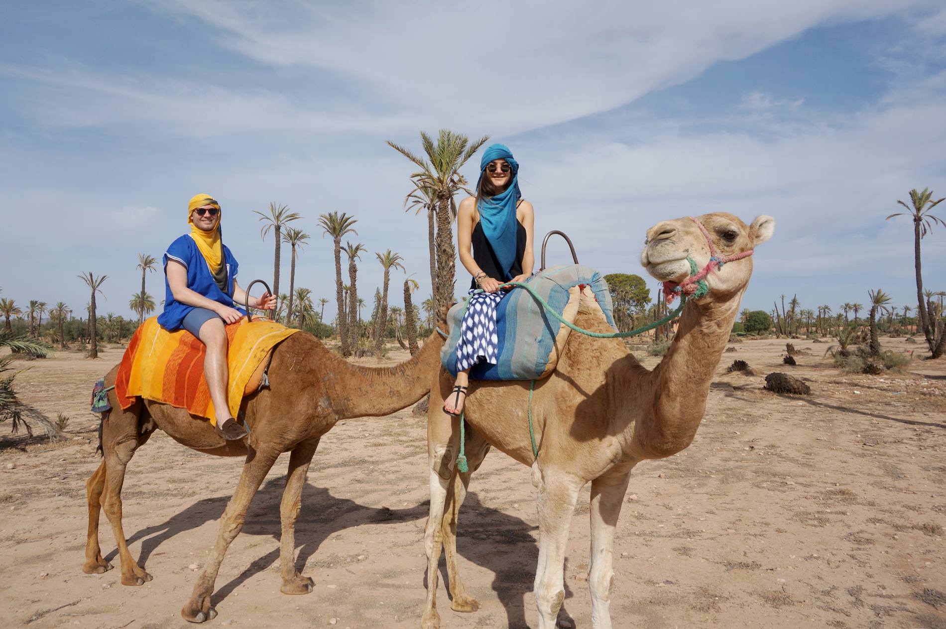 Activity Sunset Camel Ride in the Palm Grove of Marrakech