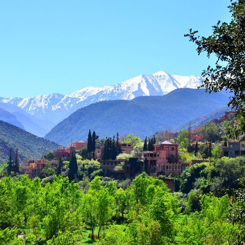 Shared Tour 1 Day Trip To Ourika Valley From Marrakech