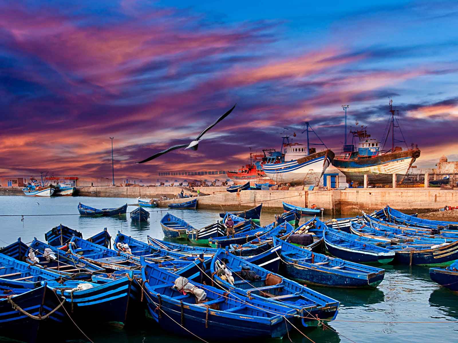 Shared Tour 1 Day Trip To Essaouira From Marrakech