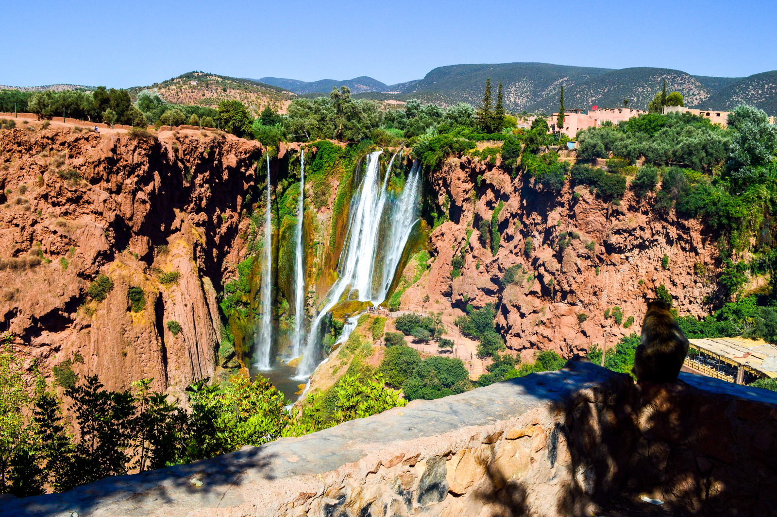 Shared Tour 1 Day Trip To Waterfall Ouzoud From Marrakech