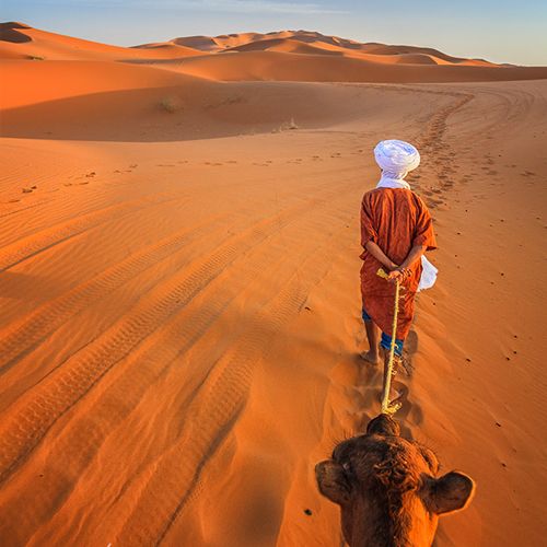 6 days trip From Marrakech To desert, Camel trek & classic tour